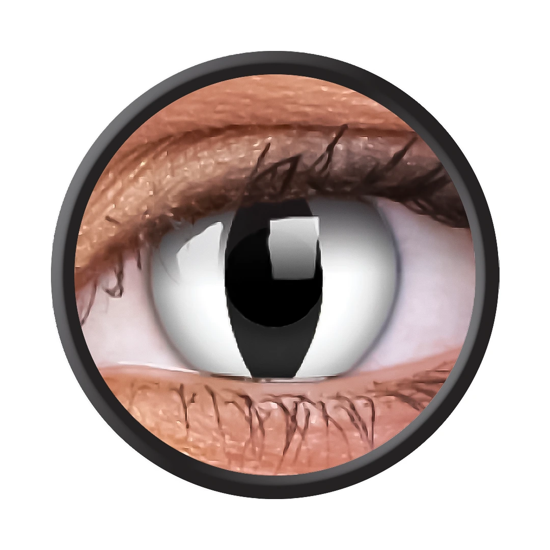 Viper (Jahreslinse) (1x2)