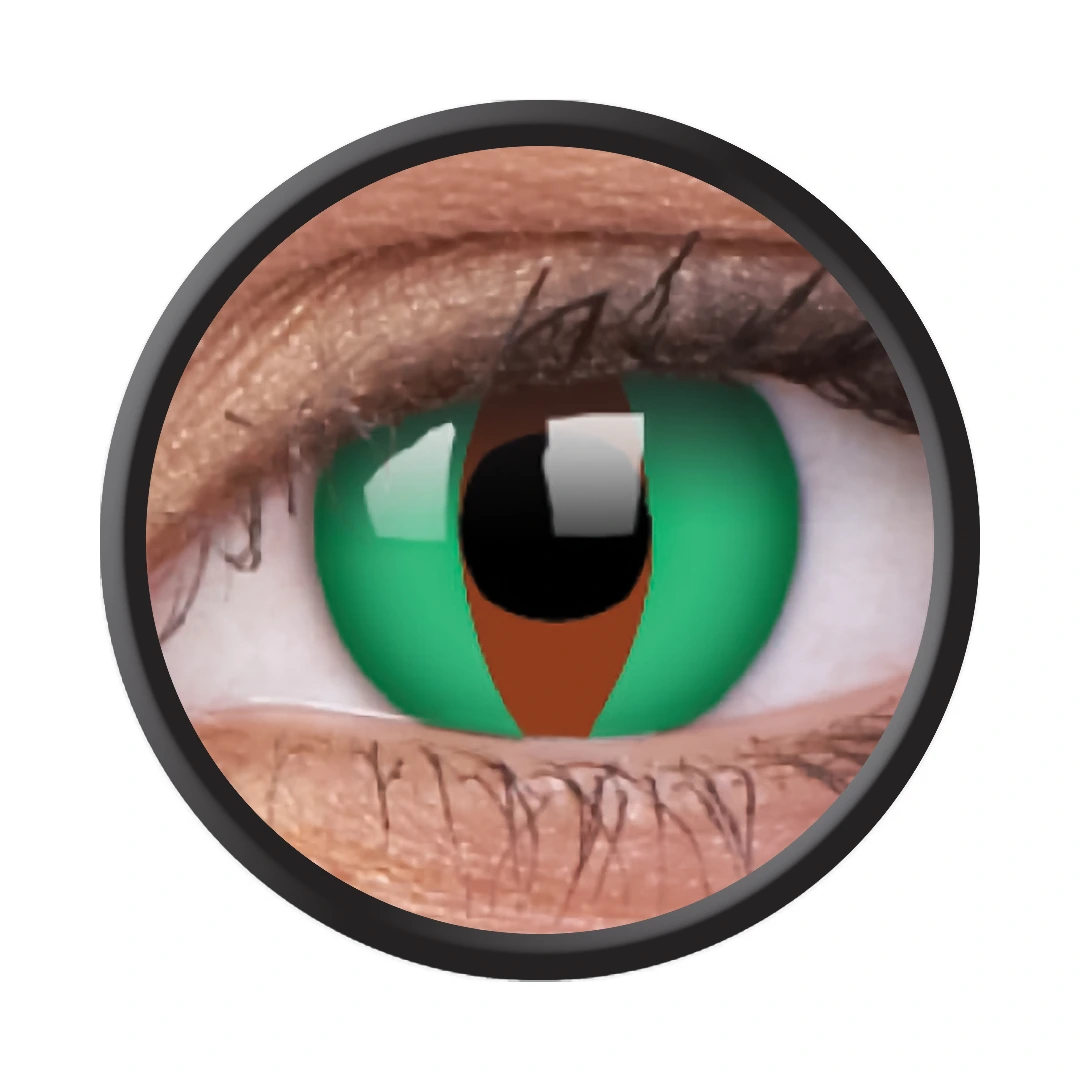 Raptor (Jahreslinse) (1x2)