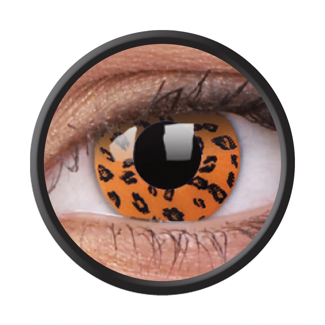 Yellow Leopard (Jahreslinse) (1x2)