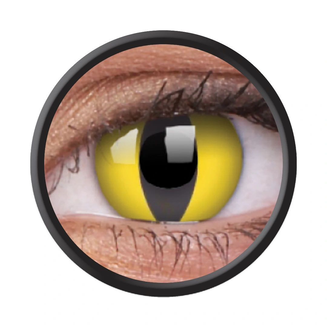 Cats Eye (Jahreslinse) (1x2)
